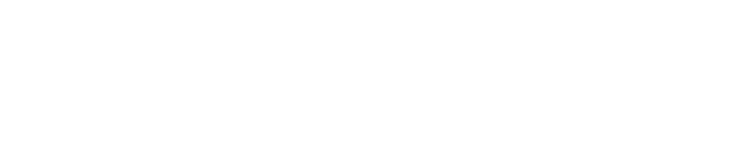 Ozi Auto